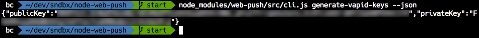 The keys generated using the web-push generate-vapid-keys command in terminal